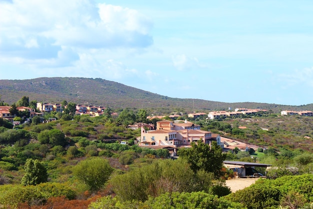 Houses among the trees on the island