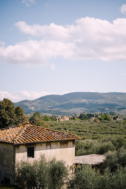 Photo houses and trees on landscape against sky