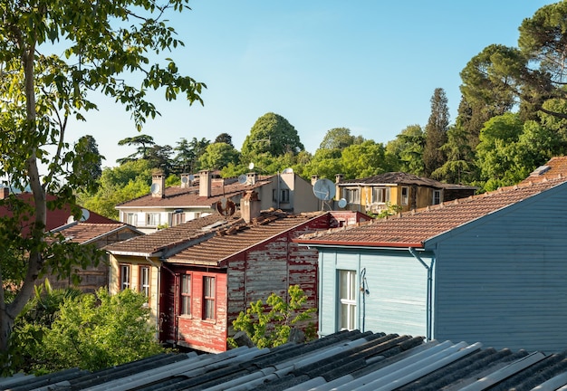 Houses in the wooded area