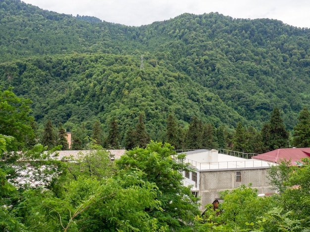 Housing in the mountains Buildings in the forest Human and nature