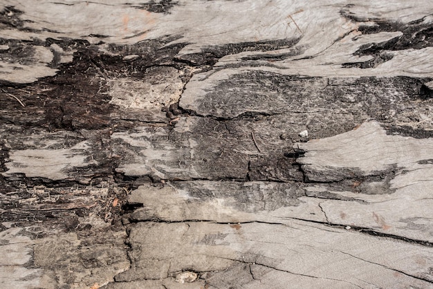 hout achtergrond en natuurlijke textuur, behang