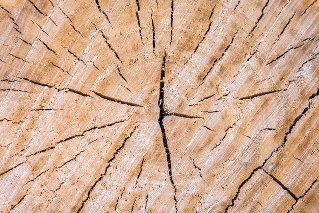 Hout achtergrondstructuur