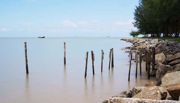 Hout naast het rotsstrand (Sapan Hin)