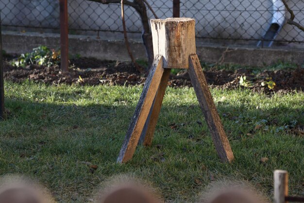 Foto hout op het veld in de achtertuin.