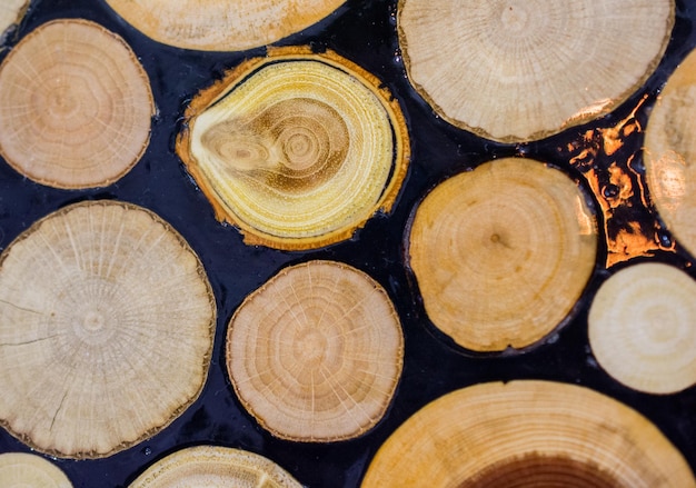 Hout Stam gesneden in ronde dunne stukken