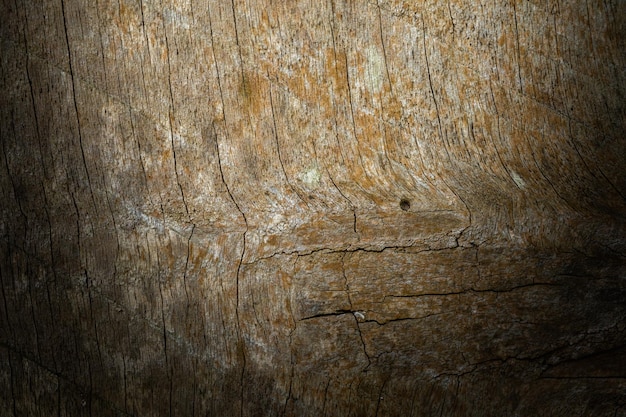 Foto hout textuur achtergrond