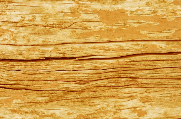 Foto hout textuur