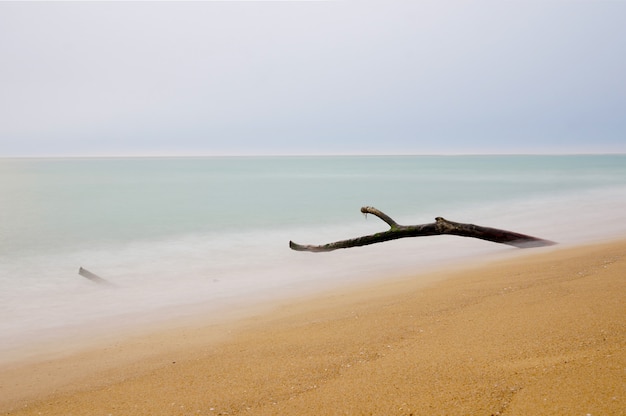 Hout val op het strand