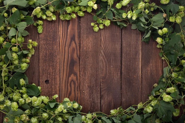 Houten achtergrond Frame van groene hop op rustieke oude houten planken Copy space