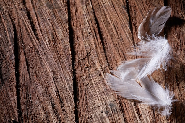 Foto houten achtergrond met drie fethers en kopieer ruimte