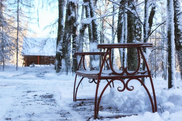 Houten bank in de winter