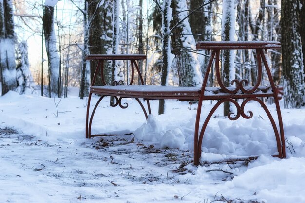 Houten bank in de winter