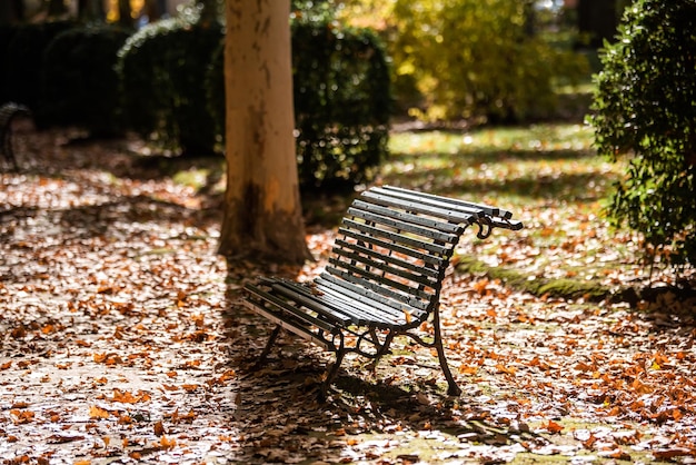 Houten bank in een park in de herfst met gekleurde bladeren