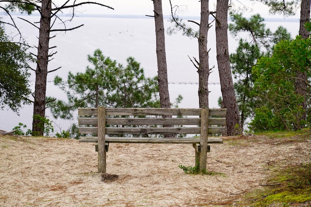 Houten bank leeg in maubuisson meer zand wild strand kalm water in gironde frankrijk