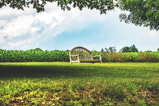 Houten bank op een grasveld in het park