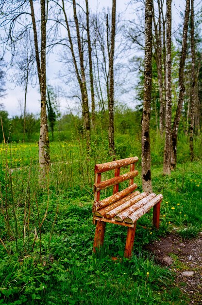 Houten bank op een grasveld