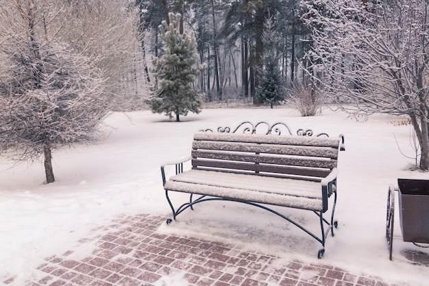 Foto houten bankje in een winterpark tussen besneeuwde bomen openbare ruimte