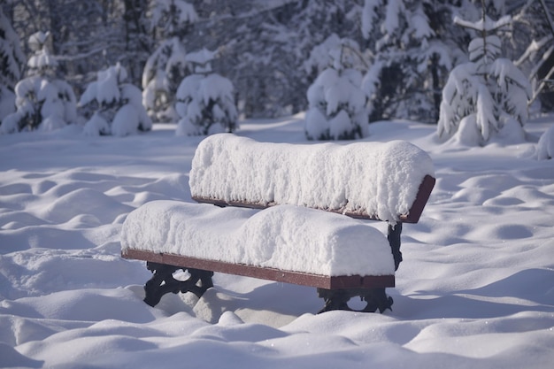 Houten bankje in het park bedekt met een dikke laag sneeuw