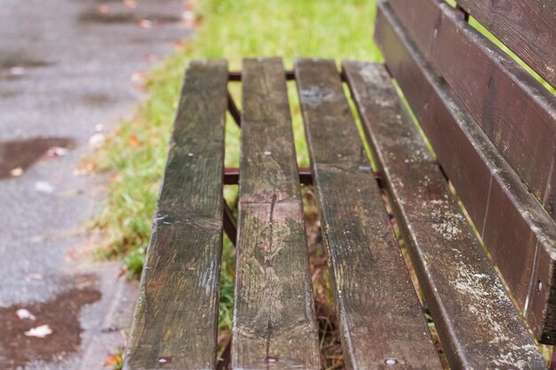 Houten bankje in park in de regen