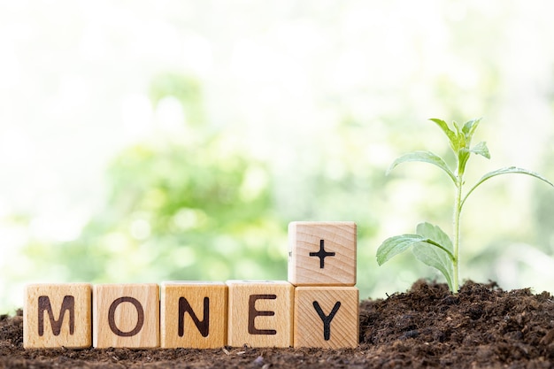 Houten blokken liggen op een houten tafel en creëren het woord MONEY