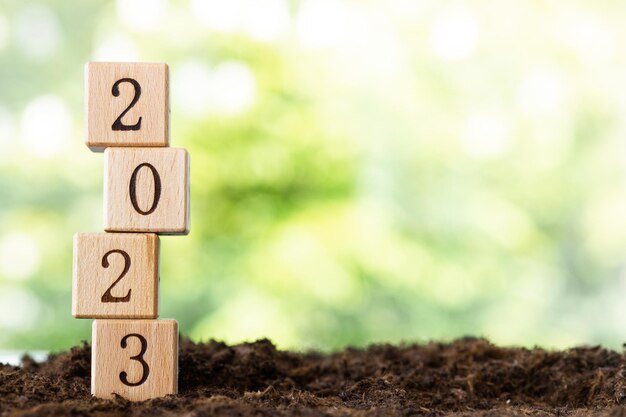 Houten blokken liggen op een houten tafel tegen de achtergrond van een zomertuin en creëren het woord 2023