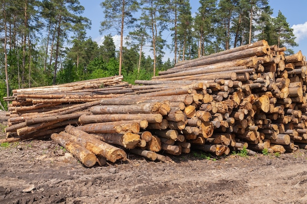 Houten blokken opgestapeld op de grond