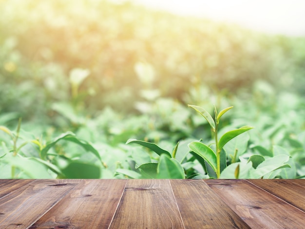 houten bovenste tafel over groene thee veld