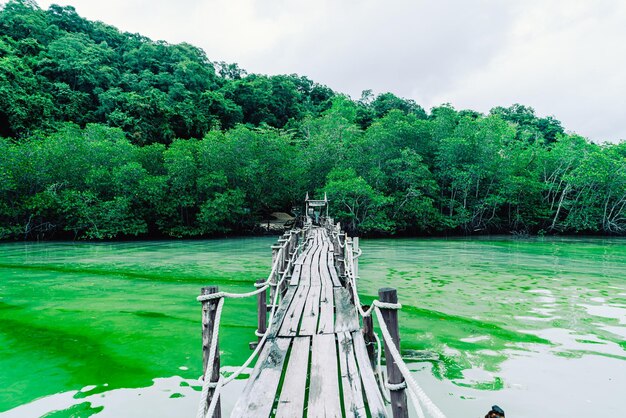 Houten brug attalet bay in khanom, nakhon sri thammarat toeristische reisoriëntatiepunt in thailand