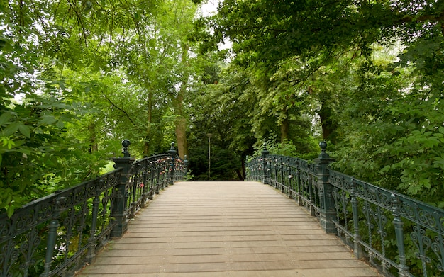 Houten brug bij Vondelpark in Amsterdam