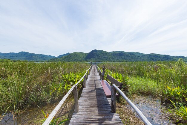 Houten brug en landschap