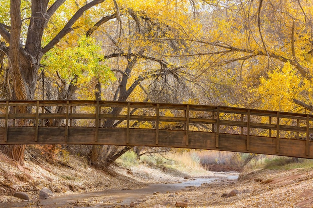 Houten brug in herfstpark