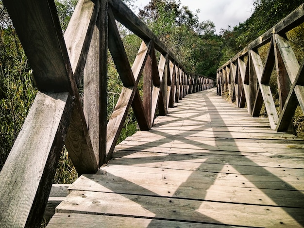 Houten brug in het bos. schilderachtige landschap