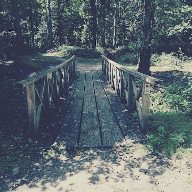 Foto houten brug in het bos