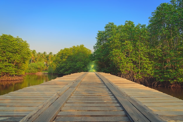 Houten brug in het platteland die de rivier kruisen bij zonsondergang