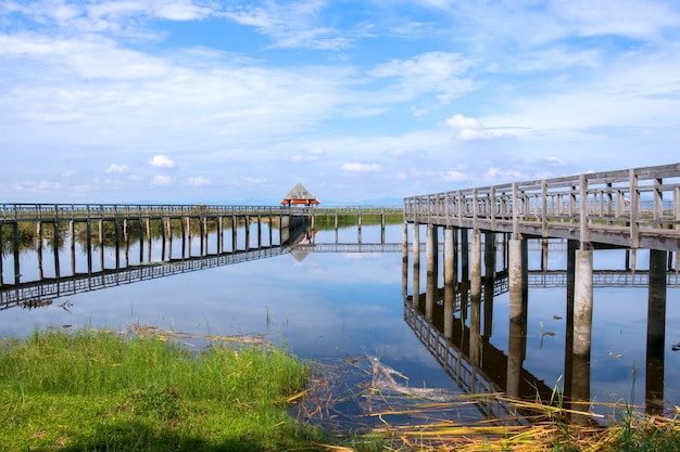 Houten brug in meer