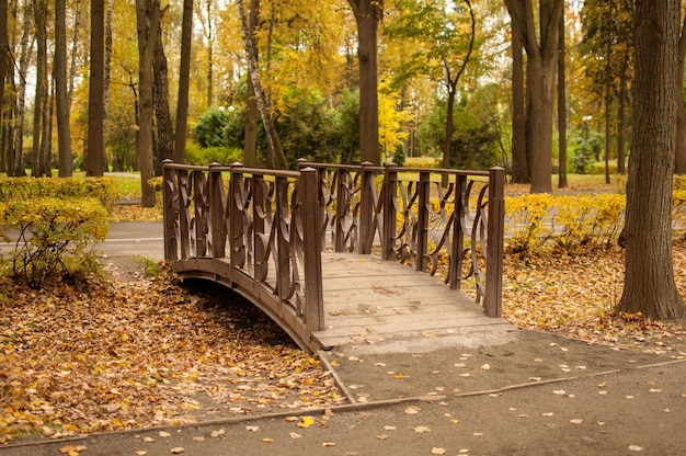Foto houten brug met metalen balustrades in een herfstpark tegen de achtergrond van vergeeld gebladerte