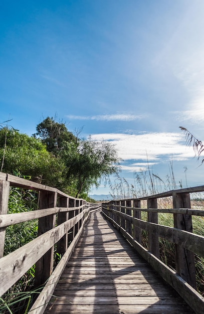 Houten brug midden in de natuur