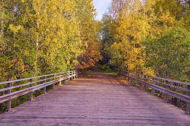 Houten brug over een bergrivier in het herfstbos