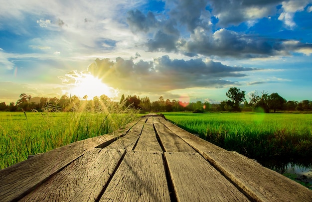 Houten brug