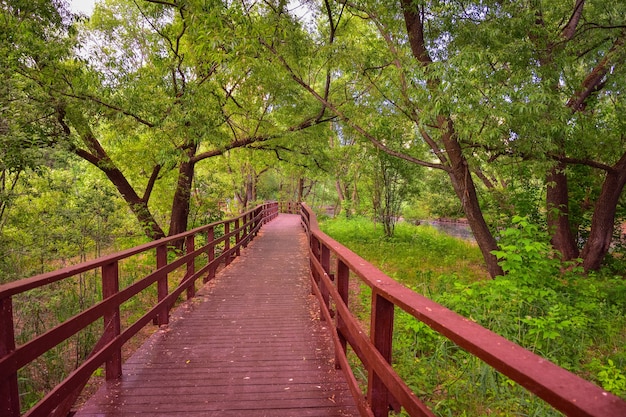 Houten bruine brug in het park, herfstpark, houten pad, afstandspad, bosplatform, houten reling, herfstpark