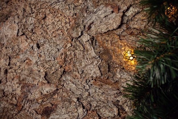 Houten bruine kerst achtergrond met een vuren tak