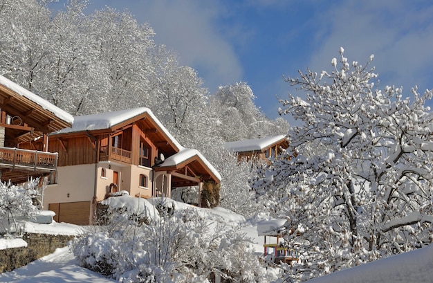 Houten chalets in bergdorp bedekt met sneeuw in witte bomen berg