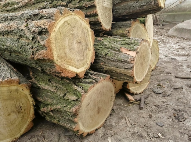 Houten dekken voor het zagen van gevallen bomen Speedle hout voor huisverwarming Brandhout voor het huis