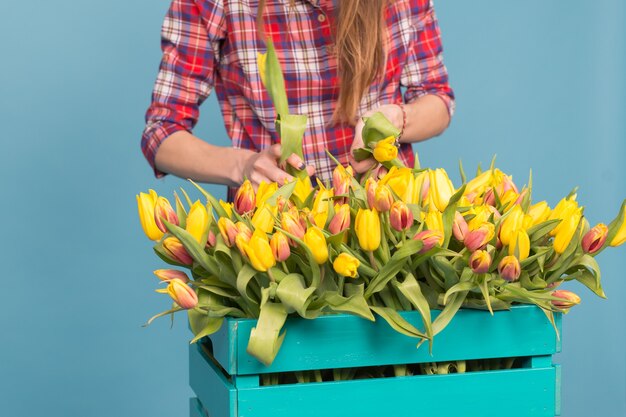 Houten doos met tulpen en tuinman handen op blauwe muur