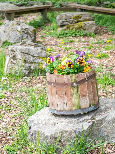 Houten emmer gevuld met kleurrijke bloemen op rots in het platteland van Engeland