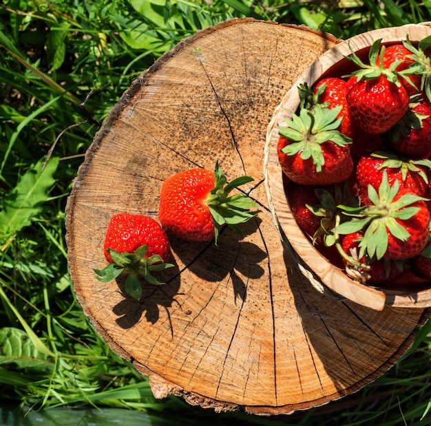 Houten emmer vulling met aardbeien staan op boomstronk bovenaanzicht kopieerruimte