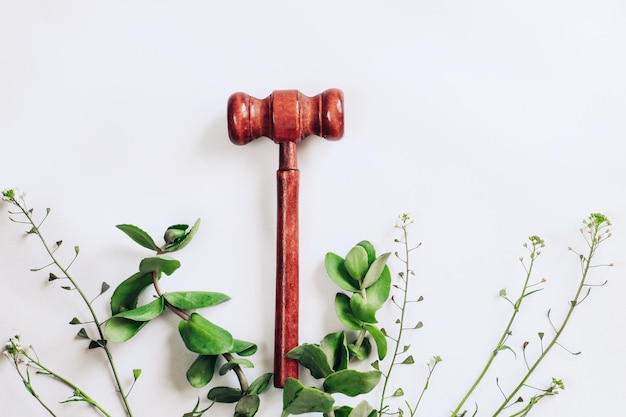 Houten hamer voor een rechter op een achtergrond met groene planten