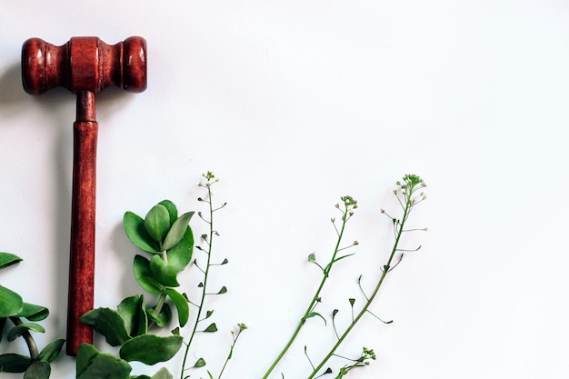 Houten hamer voor een rechter op een achtergrond met groene planten