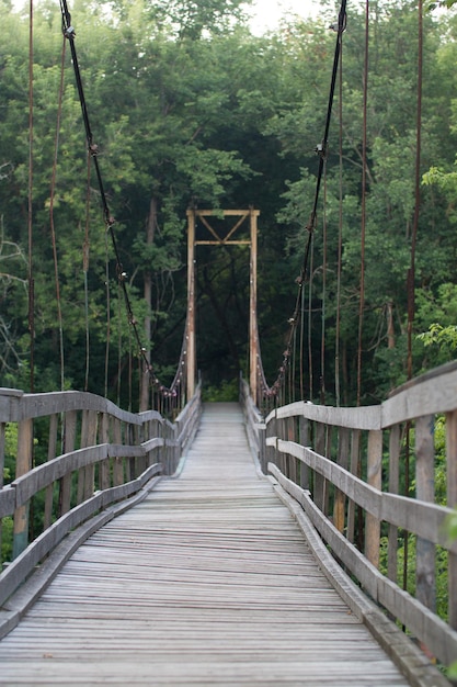 Houten hangbrug in het groene bos