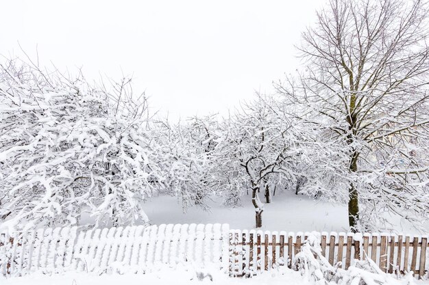 Houten hek in de sneeuw